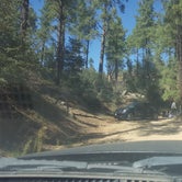 Review photo of C101 Wolf Creek Road Dispersed Camping by Krista Z., October 1, 2017