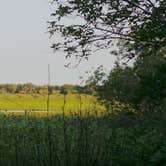 Review photo of Crowley Museum and Nature Center Group Camp by Jeanene A., May 27, 2020