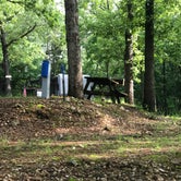 Review photo of Silver Dollar City Campground by Crystal C., May 27, 2020