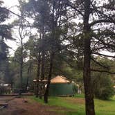 Review photo of Jessie M. Honeyman Memorial State Park Campground by Callie J., May 27, 2020