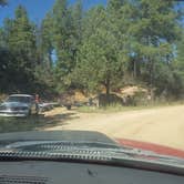 Review photo of C101 Wolf Creek Road Dispersed Camping by Krista Z., October 1, 2017