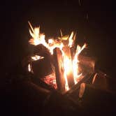 Review photo of Jessie M. Honeyman Memorial State Park Campground by Callie J., May 27, 2020