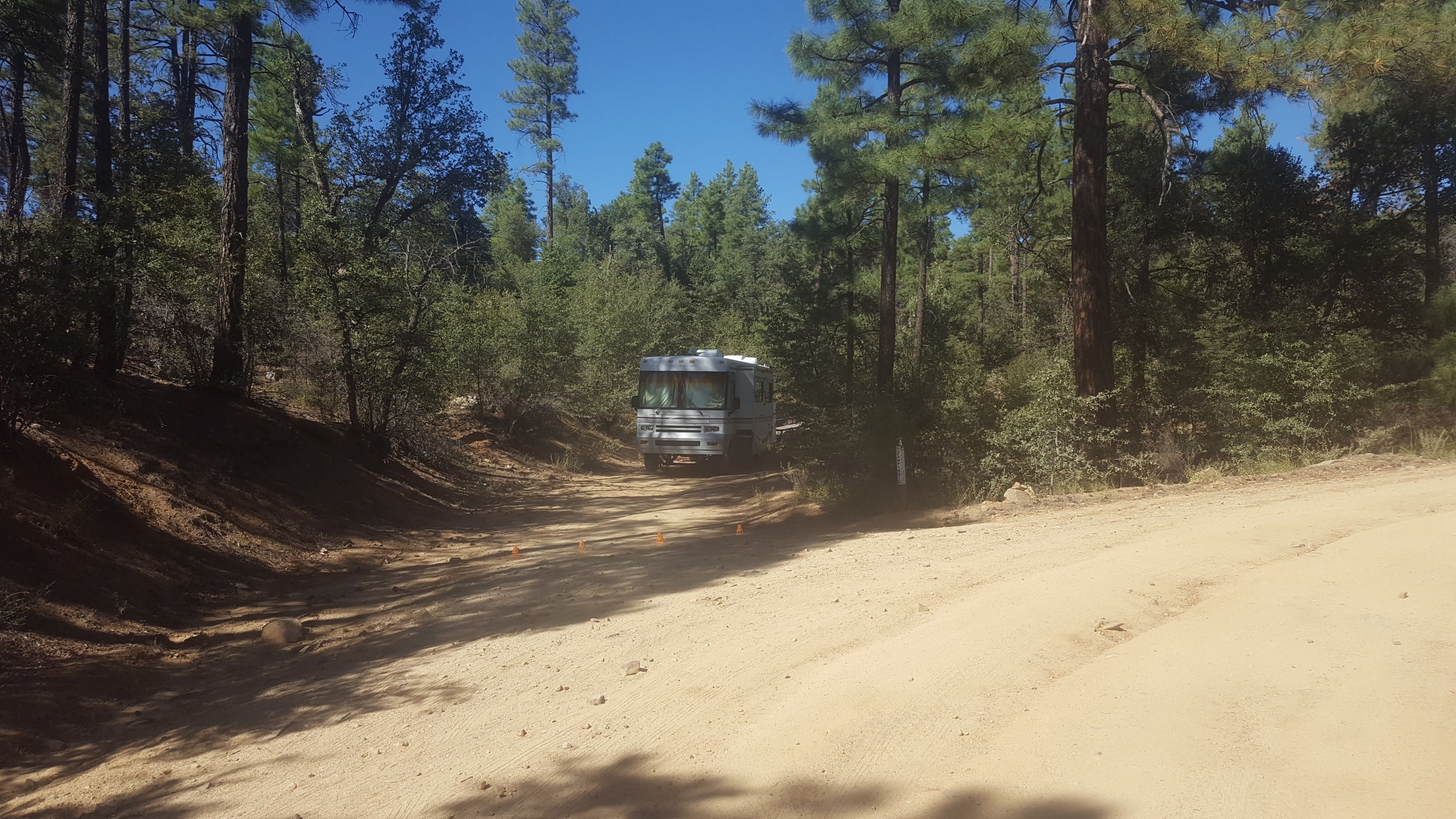 Camper submitted image from C101 Wolf Creek Road Dispersed Camping - 3