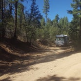 Review photo of C101 Wolf Creek Road Dispersed Camping by Krista Z., October 1, 2017