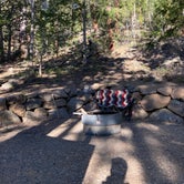 Review photo of Posy Lake Campground by Marisa P., May 28, 2020