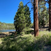 Review photo of Posy Lake Campground by Marisa P., May 28, 2020