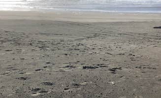 Alicia F.'s photo of camping with pets at Fort Stevens State Park Campground near Cannon Beach, OR