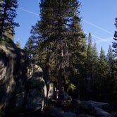 Review photo of White Wolf Campground — Yosemite National Park by Brian K., June 30, 2016