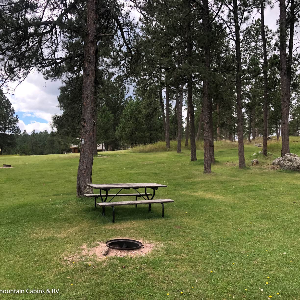 Escape to the Black Hills: Custer Mountain Cabins & Campground Adventure