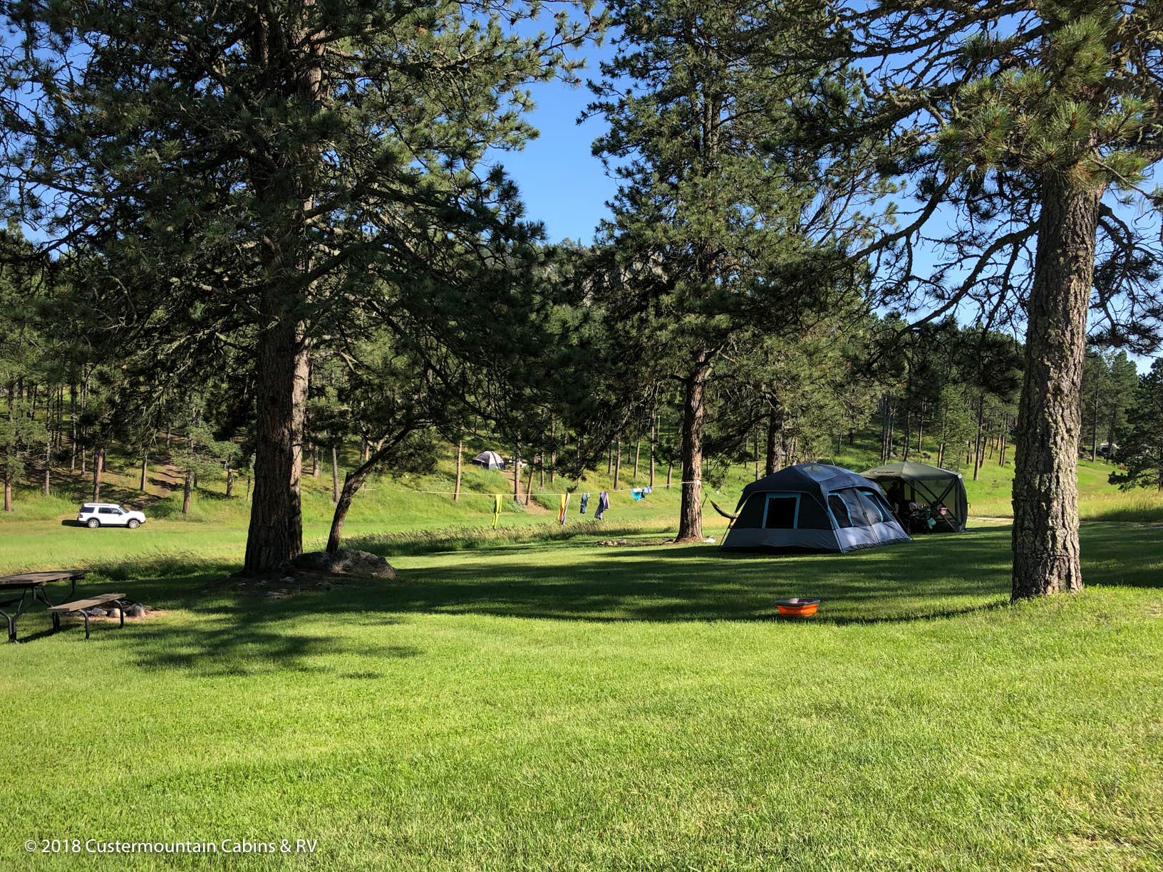 Camper submitted image from Custer Mountain Cabins and Campground - 3