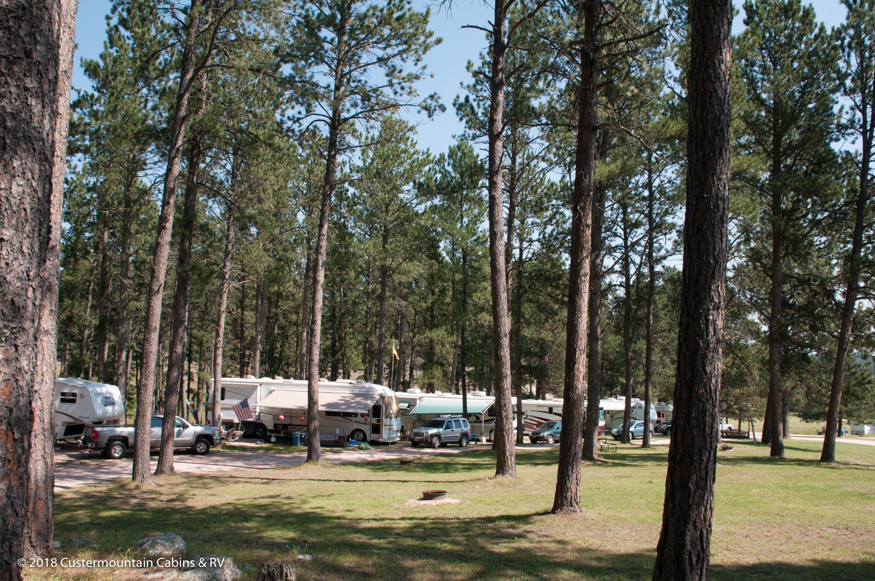 Camper submitted image from Custer Mountain Cabins and Campground - 5