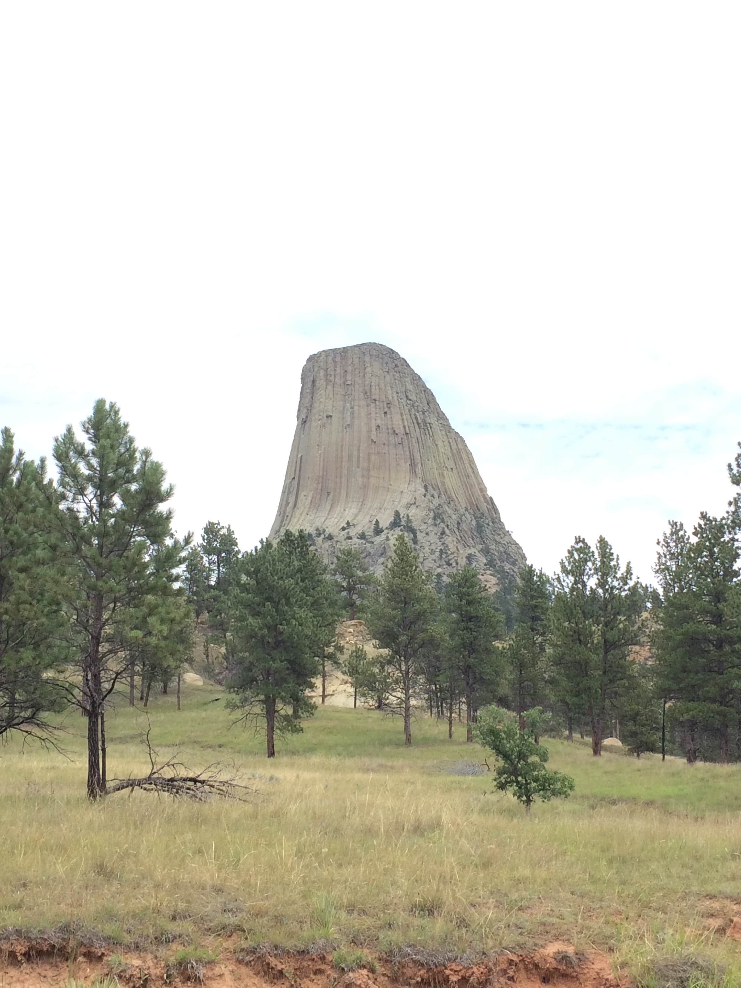 Camper submitted image from Belle Fourche Campground at Devils Tower — Devils Tower National Monument - 2