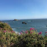 Review photo of Harris Beach State Park Campground by B M., May 28, 2020
