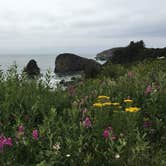 Review photo of Harris Beach State Park Campground by B M., May 28, 2020