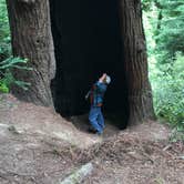 Review photo of Harris Beach State Park Campground by B M., May 28, 2020