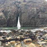 Review photo of Harris Beach State Park Campground by B M., May 28, 2020