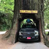 Review photo of Harris Beach State Park Campground by B M., May 28, 2020