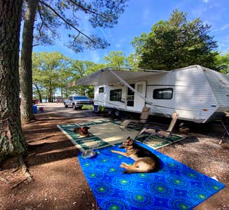 Camper-submitted photo from Point Mallard City Campground