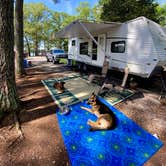 Review photo of Goose Pond Colony Resort Campground by Amber B., May 28, 2020