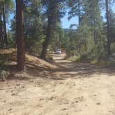Review photo of FDR79 Trittle Mountain Road Dispersed Camping by Krista Z., October 1, 2017