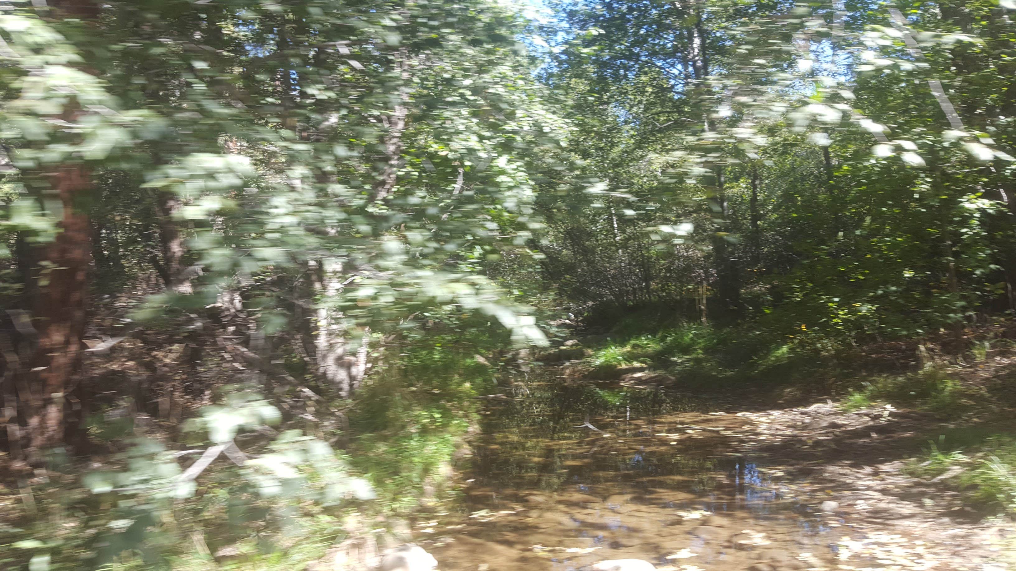 Camper-submitted photo at FDR79 Trittle Mountain Road Dispersed Camping near Prescott Valley, AZ