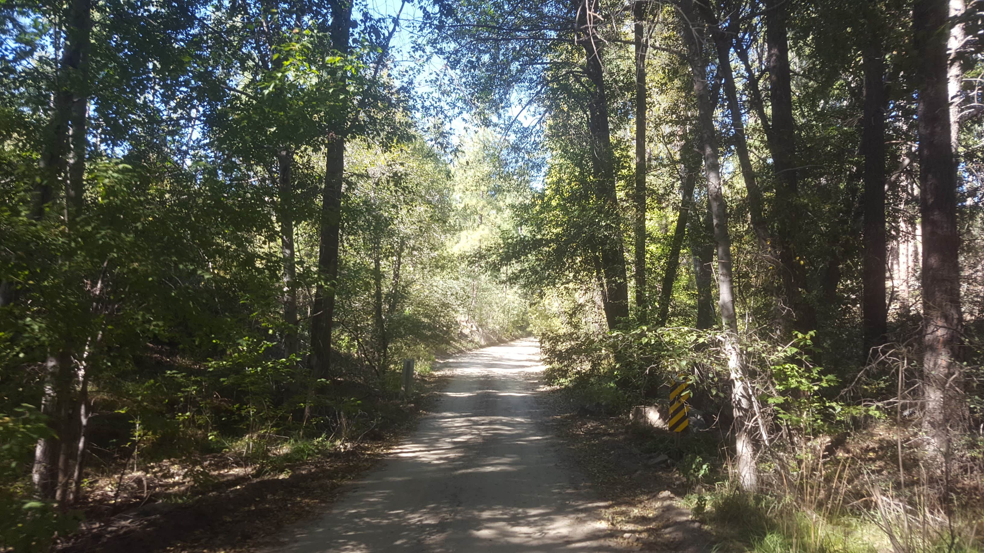 Camper-submitted photo at FDR79 Trittle Mountain Road Dispersed Camping near Prescott Valley, AZ