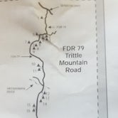 Review photo of FDR79 Trittle Mountain Road Dispersed Camping by Krista Z., October 1, 2017