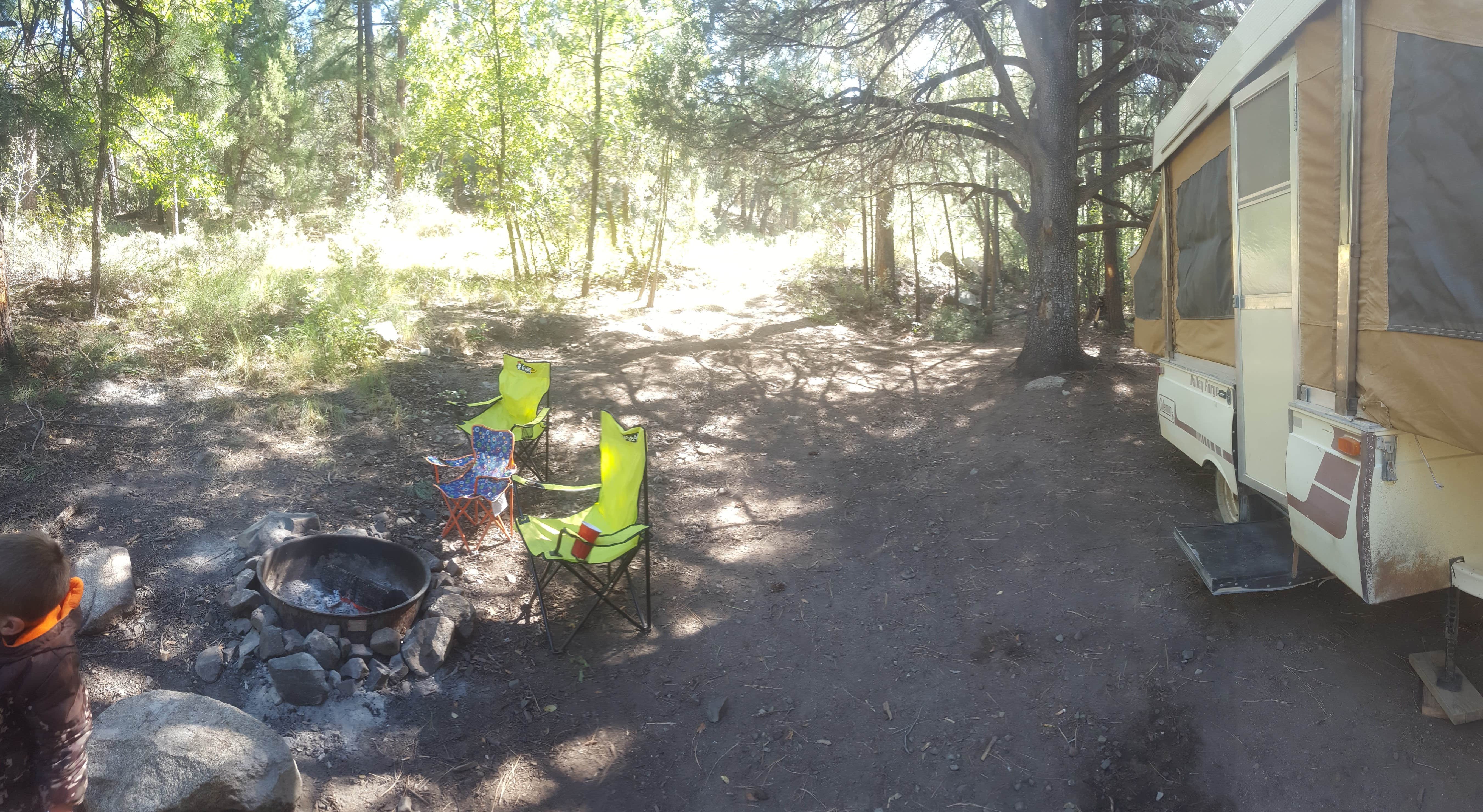 Camper submitted image from FDR80 Sundance Road Dispersed Camping - 5