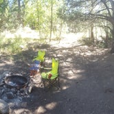 Review photo of FDR80 Sundance Road Dispersed Camping by Krista Z., October 1, 2017