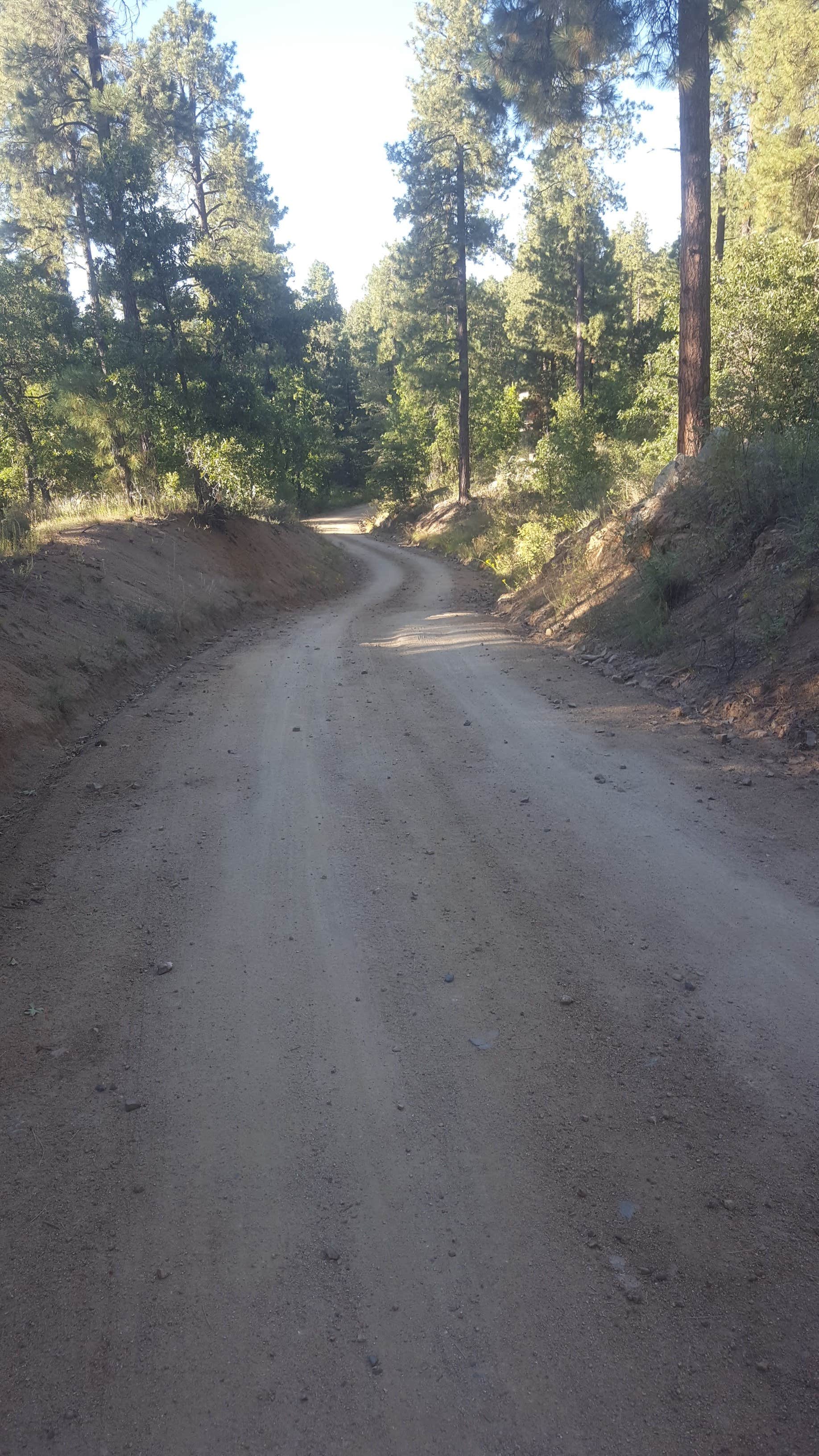 Camper submitted image from FDR80 Sundance Road Dispersed Camping - 3