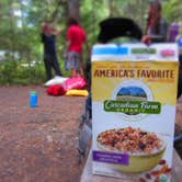 Review photo of Goodell Creek Campground — Ross Lake National Recreation Area by Jen G., June 30, 2016