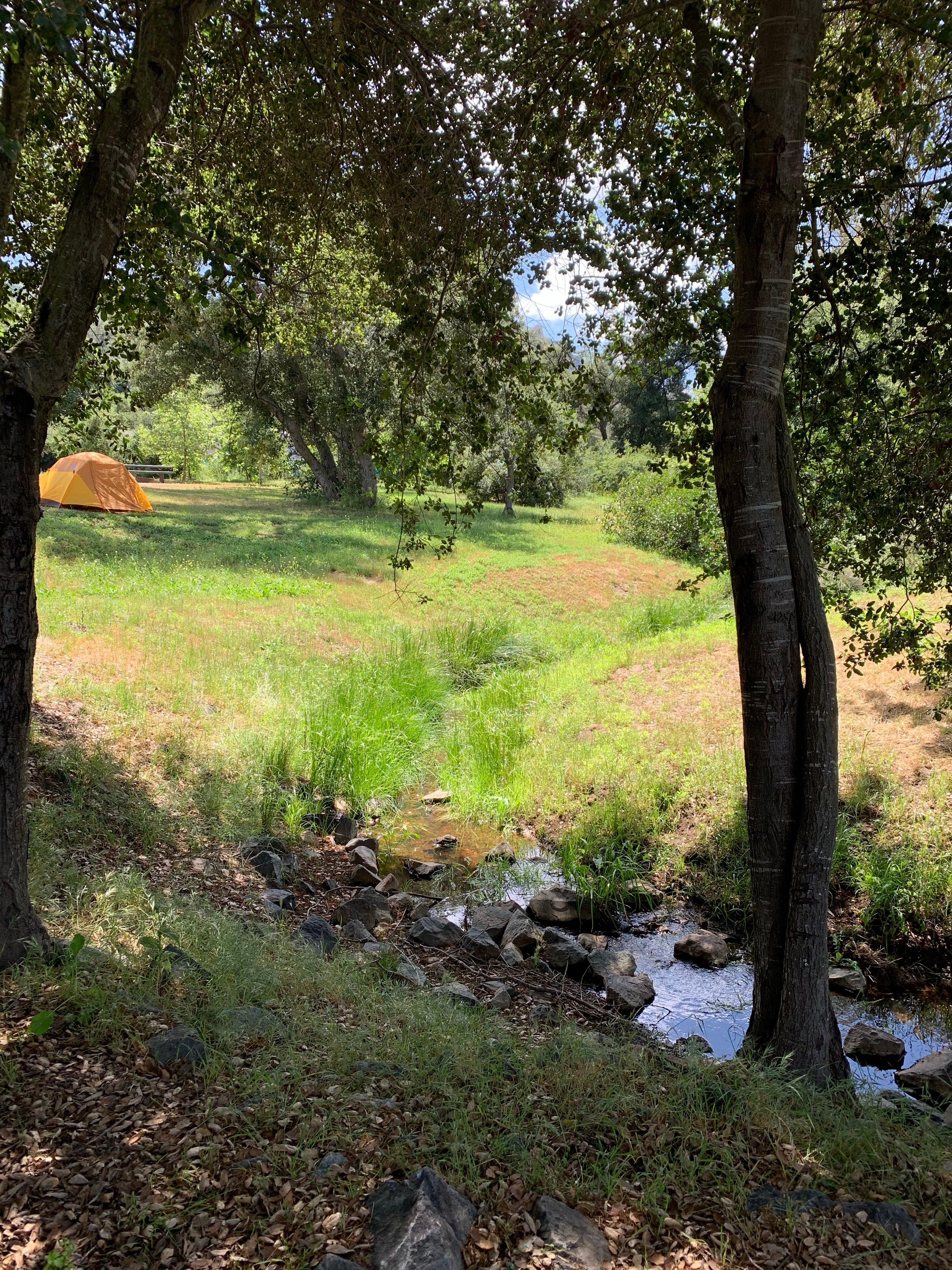 Camper submitted image from Dos Picos County Park - 2
