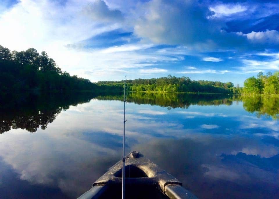 Camper submitted image from Payne Lake West Side - 4