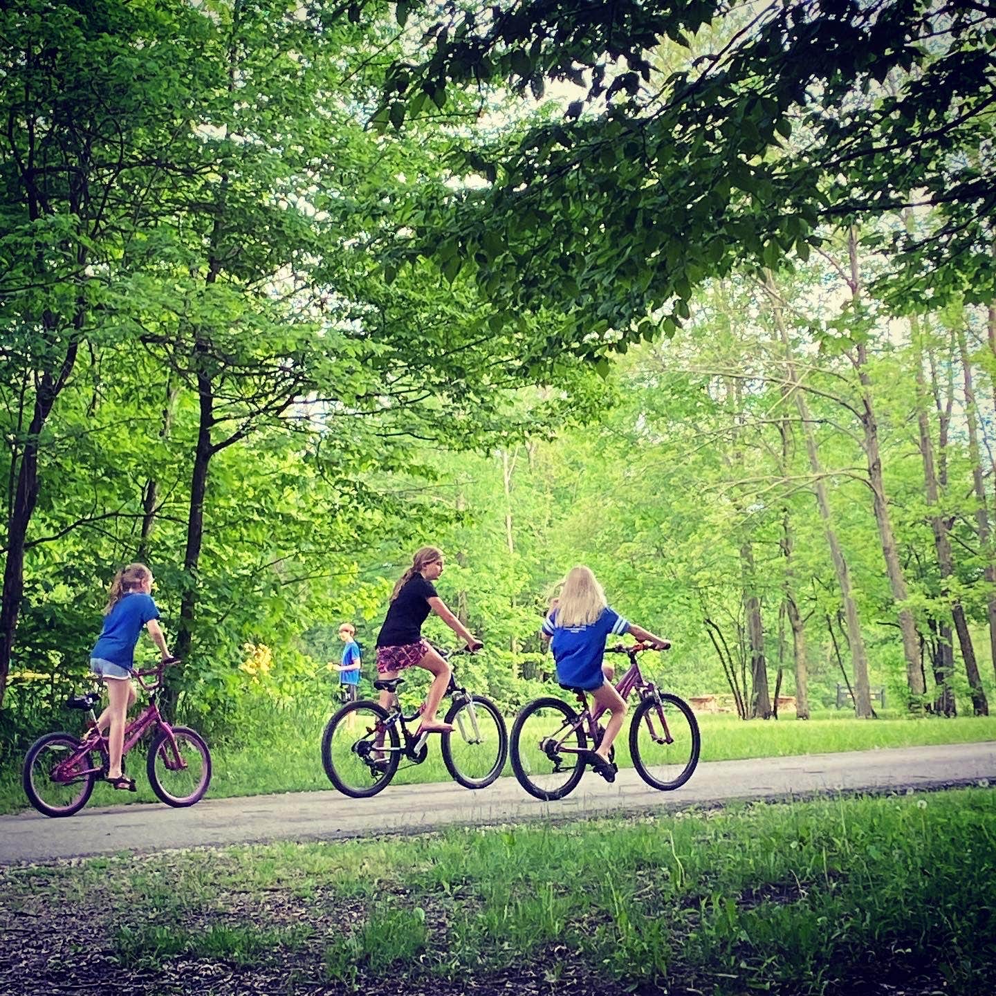 Camper-submitted photo at Summit Lake State Park Campground near Muncie, IN