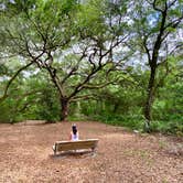 Review photo of Lake Griffin State Park Campground by Perry J., May 28, 2020