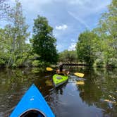 Review photo of Lake Griffin State Park Campground by Perry J., May 28, 2020