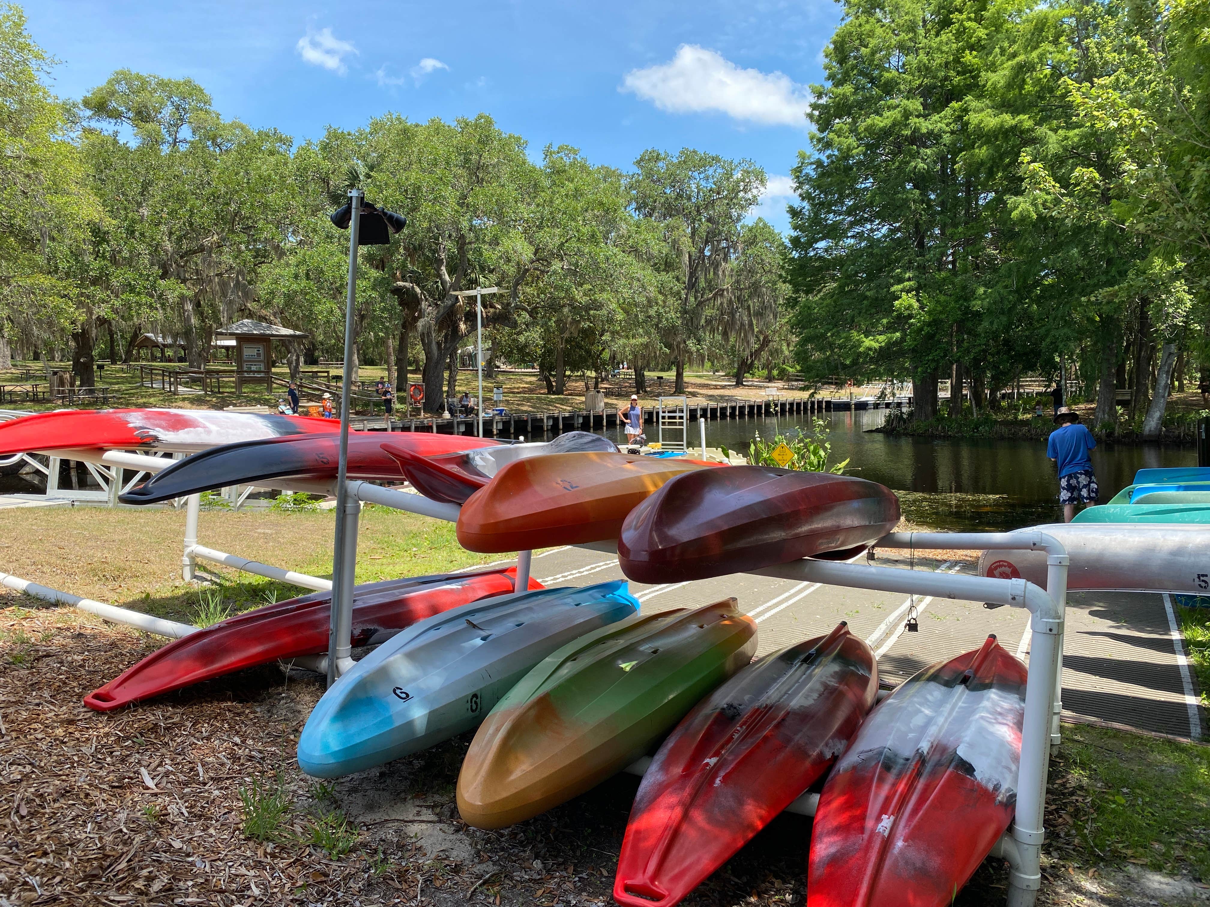 Camper submitted image from Lake Griffin State Park Campground - 5