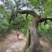 Review photo of Lake Griffin State Park Campground by Perry J., May 28, 2020