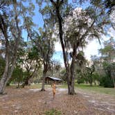 Review photo of Lake Griffin State Park Campground by Perry J., May 28, 2020