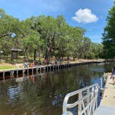 Review photo of Lake Griffin State Park Campground by Perry J., May 28, 2020