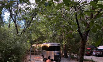 Camping near Lazy K Ranch South: Lake Griffin State Park Campground, Fruitland Park, Florida
