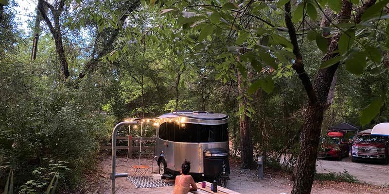 Camper submitted image from Lake Griffin State Park Campground
