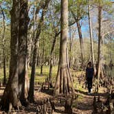 Review photo of Hog Island Recreation Area by Perry J., May 28, 2020