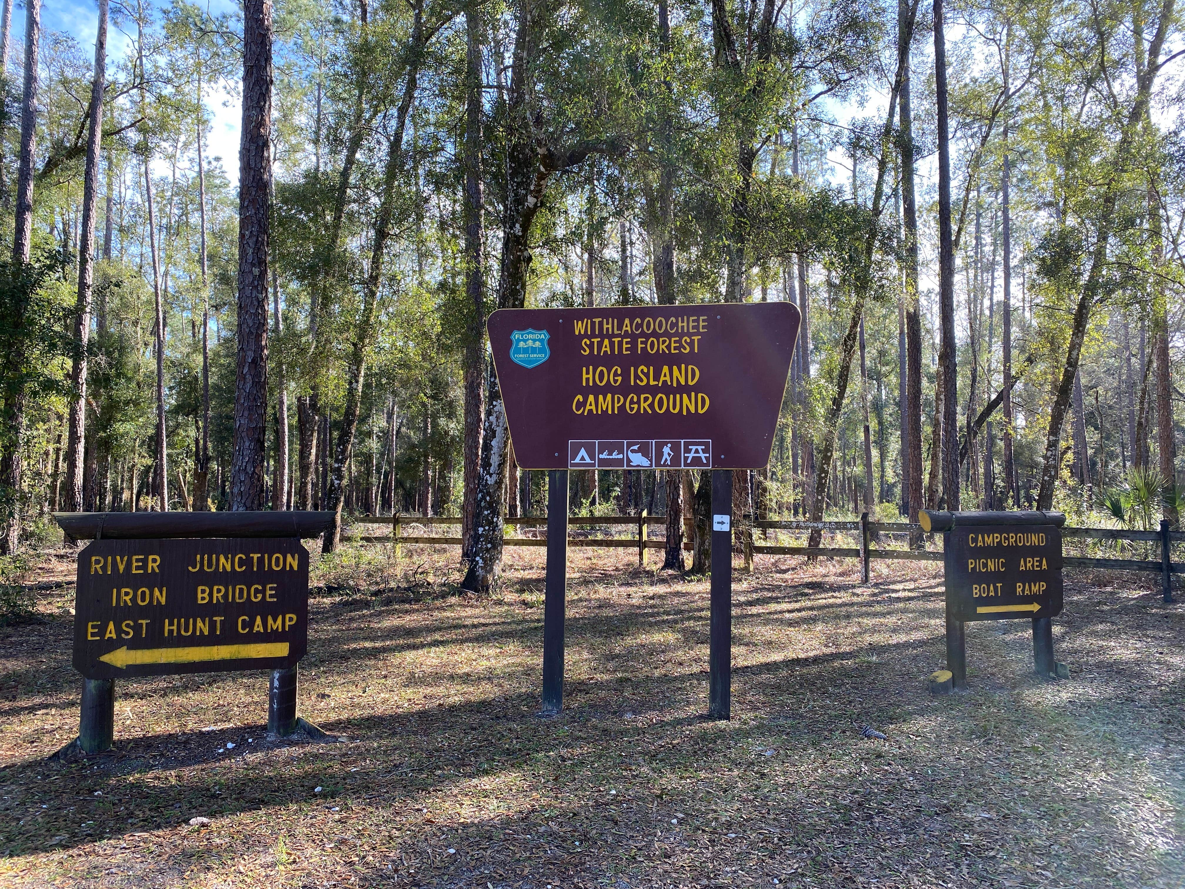 Camper-submitted photo at Hog Island Campground — Withlacoochee State Forest near Lake Panasoffkee, FL