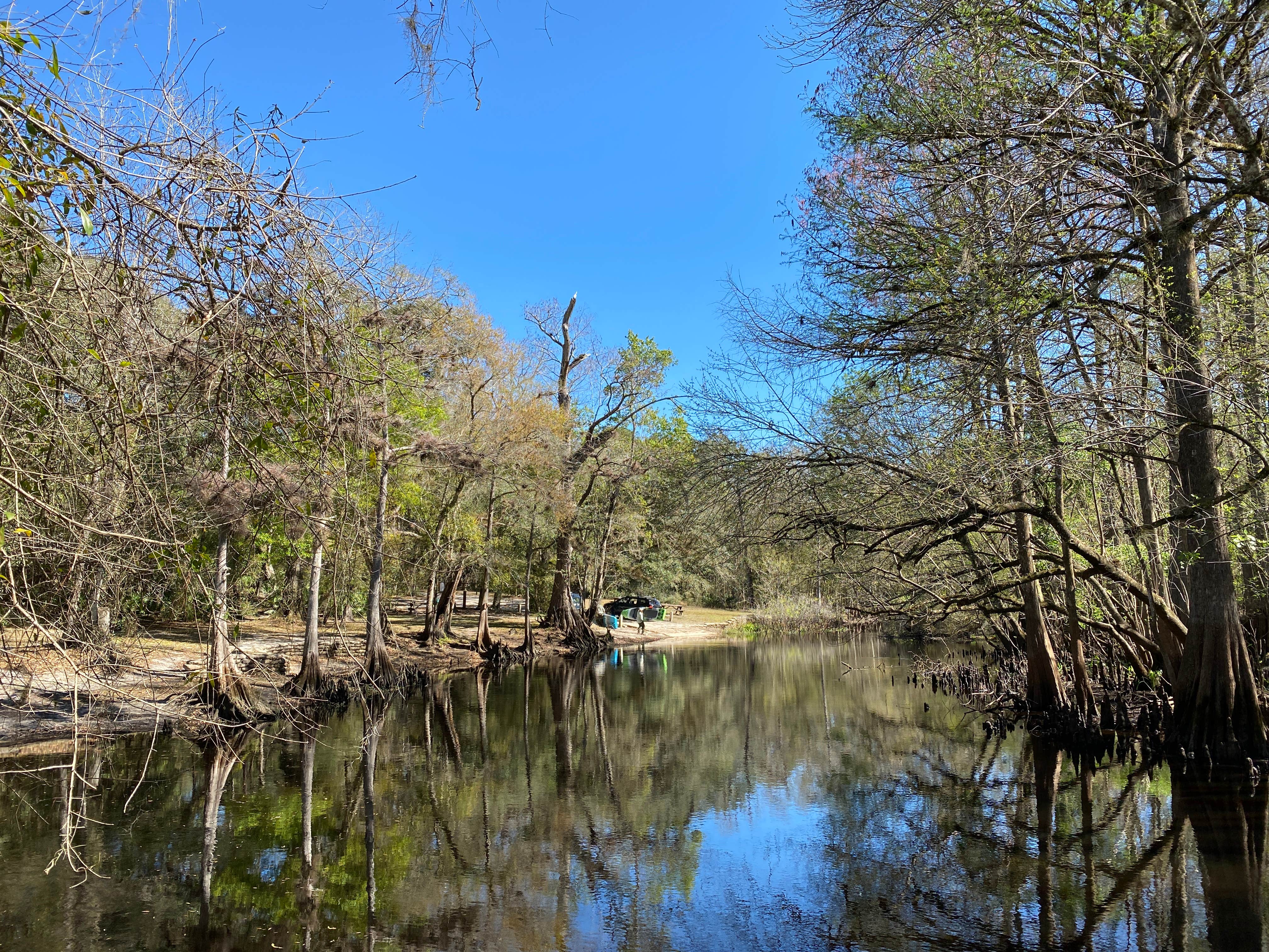 Camper-submitted photo at Hog Island Campground — Withlacoochee State Forest near Lake Panasoffkee, FL