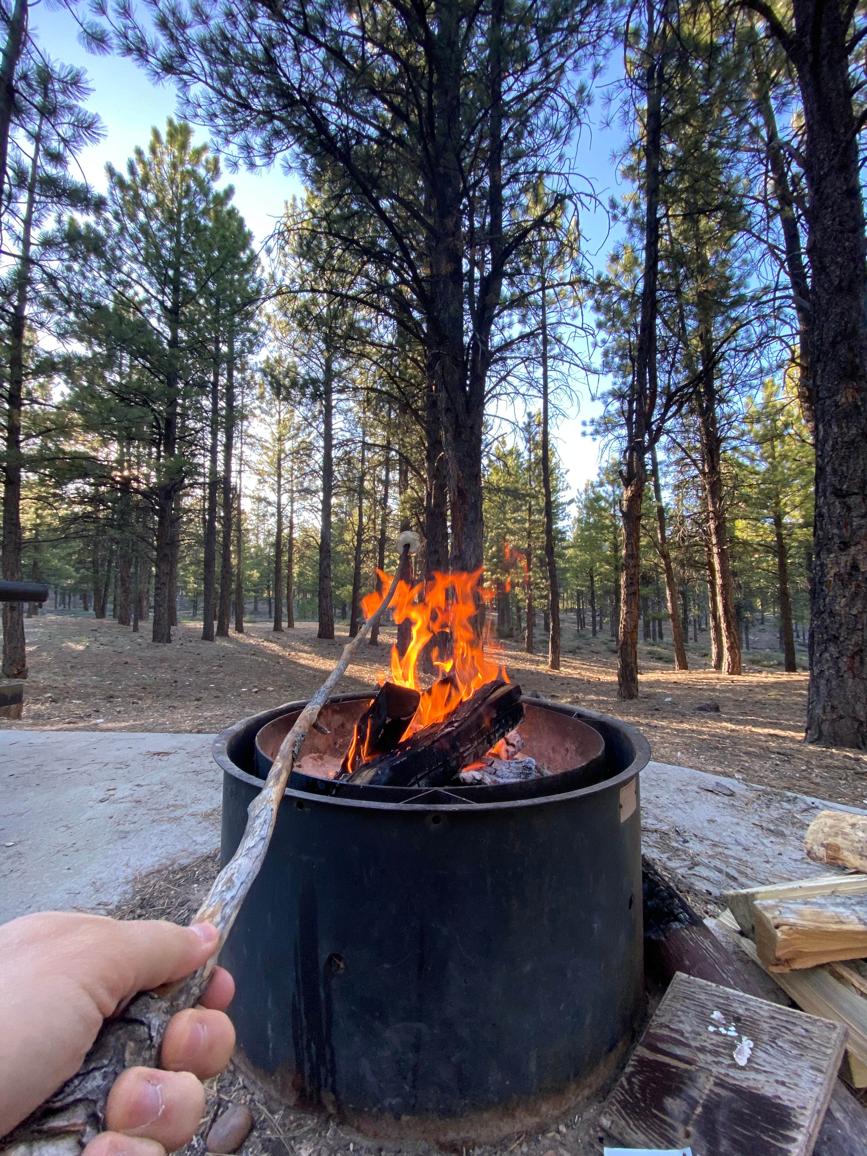 Camping