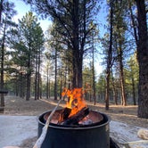 Review photo of Dixie National Forest King Creek Group Site by Rachael A., May 28, 2020