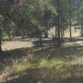 Review photo of FDR 373 Thumb Butte Loop by Krista Z., October 1, 2017