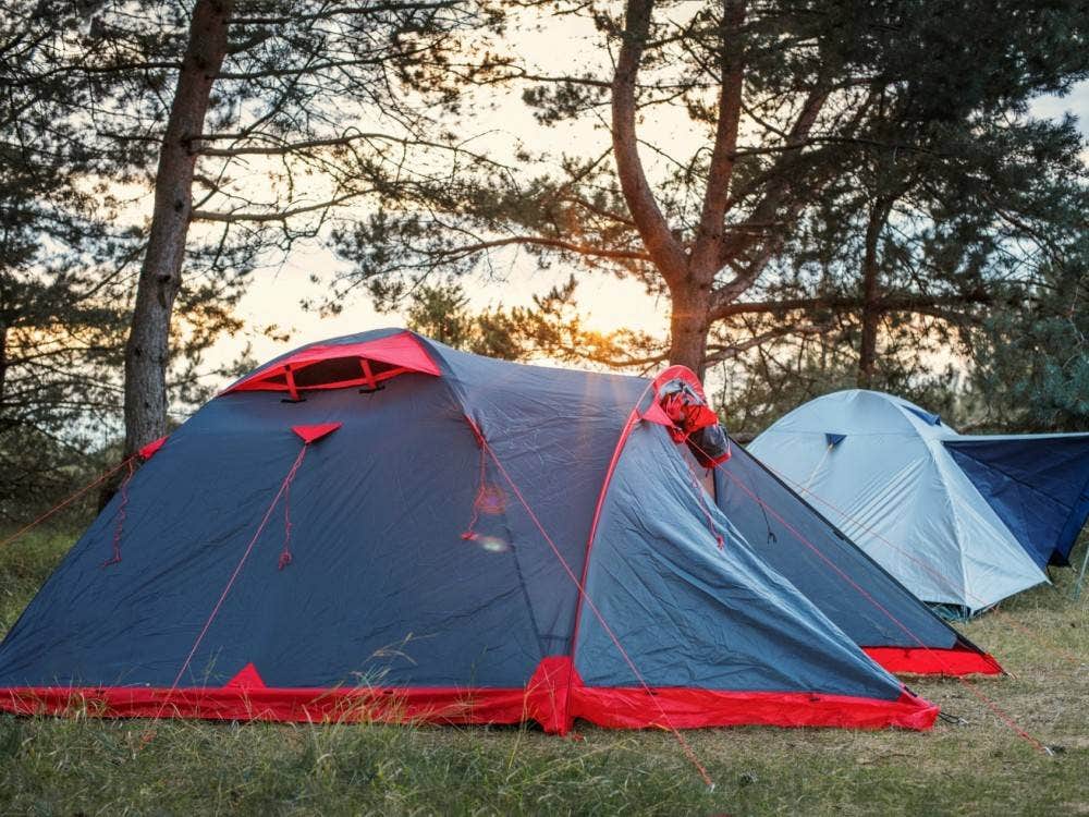 Camper-submitted photo at Elkhorn Ridge RV Resort & Cabins near Devils Tower National Monument