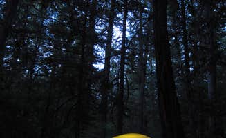 Jen G.'s photo at Goodell Creek Campground — Ross Lake National Recreation Area near Marblemount, WA